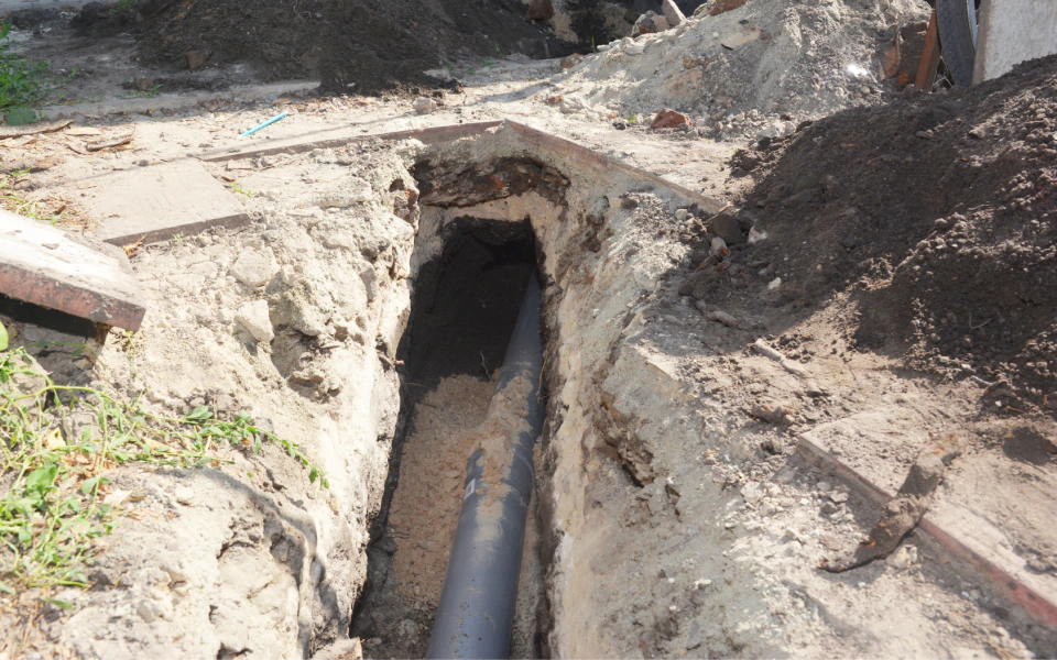 sewer pipe web